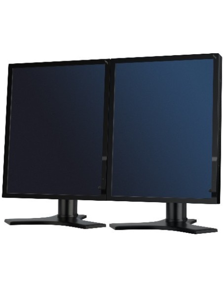NEC MD212MC 21.3" LCD Display Monitor PC 54,1 cm (21.3") 1200 x 1600 Pixel Nero