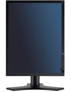NEC MD213MC Monitor PC 54,1 cm (21.3") 2048 x 1536 Pixel Full HD Nero
