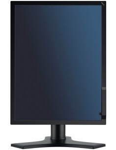NEC MD213MG Monitor PC 54,1 cm (21.3") 2048 x 1536 Pixel Full HD Nero