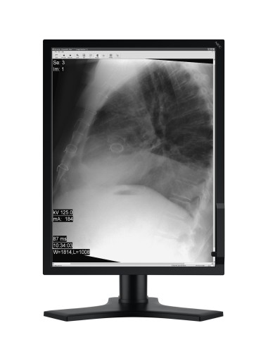 NEC MD213MG Monitor PC 54,1 cm (21.3") 2048 x 1536 Pixel Full HD Nero