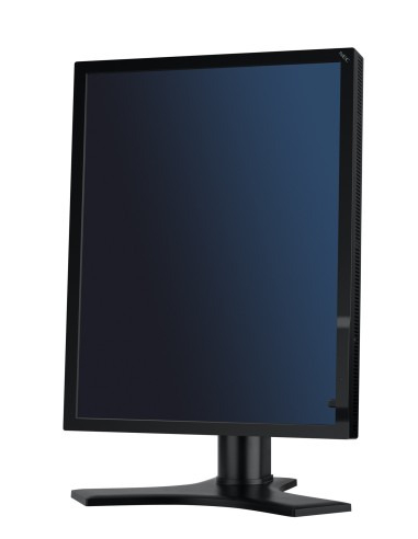 NEC MD213MG Monitor PC 54,1 cm (21.3") 2048 x 1536 Pixel Full HD Nero