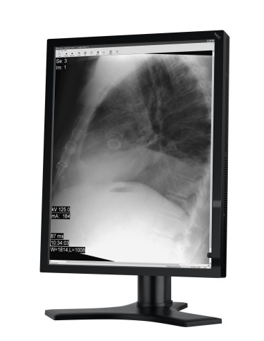 NEC MD213MG Monitor PC 54,1 cm (21.3") 2048 x 1536 Pixel Full HD Nero