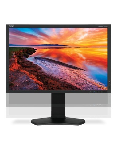 NEC MultiSync PA241W Monitor PC 61,2 cm (24.1") 1920 x 1200 Pixel LED Nero