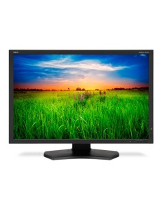 NEC MultiSync PA301W Monitor PC 75,7 cm (29.8") 2560 x 1600 Pixel LED Nero 2