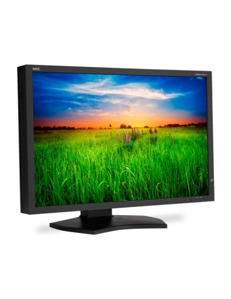 NEC MultiSync PA301W Monitor PC 75,7 cm (29.8") 2560 x 1600 Pixel LED Nero
