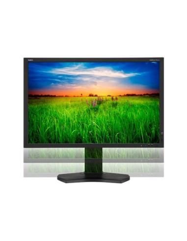NEC MultiSync PA301W Monitor PC 75,7 cm (29.8") 2560 x 1600 Pixel LED Nero