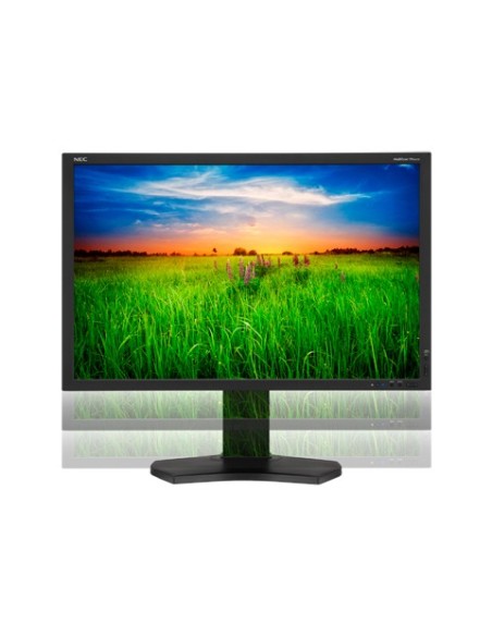 NEC MultiSync PA301W Monitor PC 75,7 cm (29.8") 2560 x 1600 Pixel LED Nero