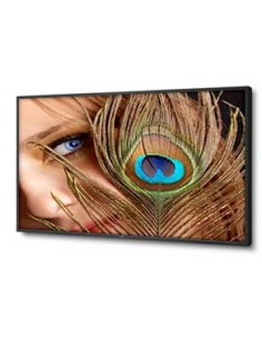 NEC MultiSync P402 Pannello piatto per segnaletica digitale 101,6 cm (40") PVA 700 cd m² Full HD Nero