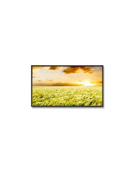 NEC MultiSync P462 Pannello piatto per segnaletica digitale 116,8 cm (46") PVA 350 cd m² Full HD Nero