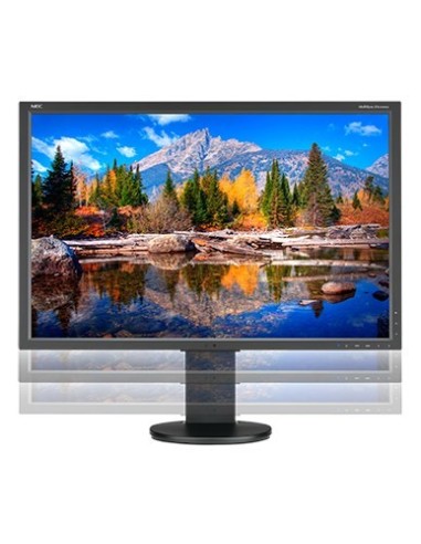 NEC MultiSync EA304WMi LED display 76,2 cm (30") 2560 x 1600 Pixel Nero