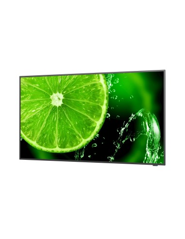 NEC MultiSync E658 165,1 cm (65") IPS 350 cd m² 4K Ultra HD Nero 16 7