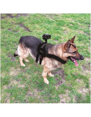 Nilox 13NXAKDHUN001 accessorio per fotocamera sportiva Imbracatura per cani con fotocamera