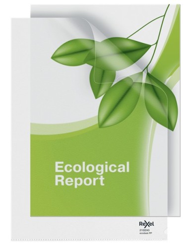 Rexel Ecodesk Buste ad L