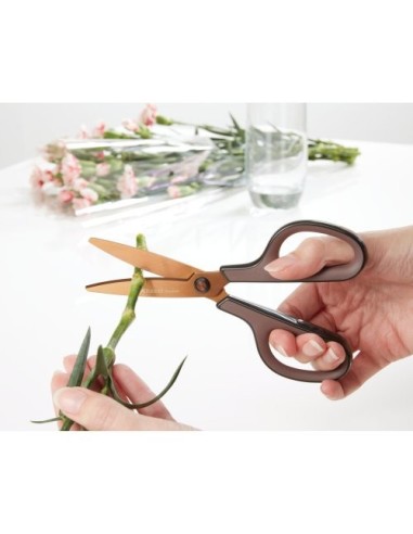 Rexel Forbici X3 al titanio marroni