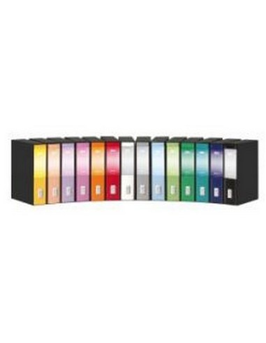 Rexel Dox 2 Class Lever Arch File raccoglitore Bianco Carta