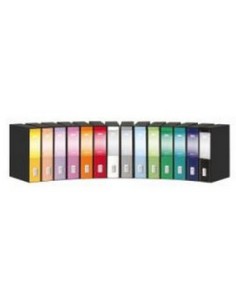 Rexel Dox 2 Class Lever Arch File raccoglitore Blu Carta