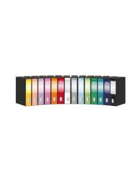 Rexel Dox 2 Class Lever Arch File raccoglitore Blu Carta