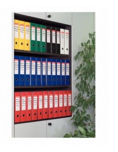 Esselte 390758050 raccoglitore ad anelli Blu