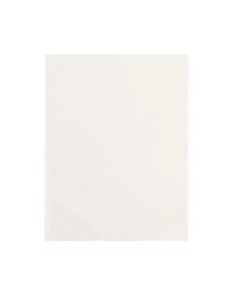 Esselte 395900900 busta Trasparente