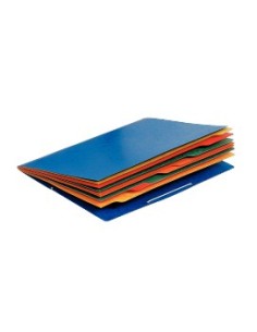 Esselte Rainbow Multicolore