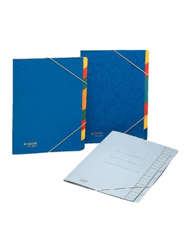 Esselte Rainbow Multicolore