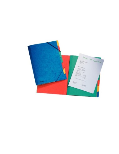 Esselte Rainbow Multicolore