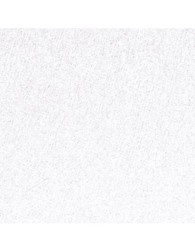 GBC Copertine per rilegatura tradizionali A4 220gsm bianche(100)