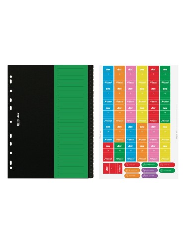 Rexel D266131 intercalare Cartella a soffietto espandibile Nero, Verde