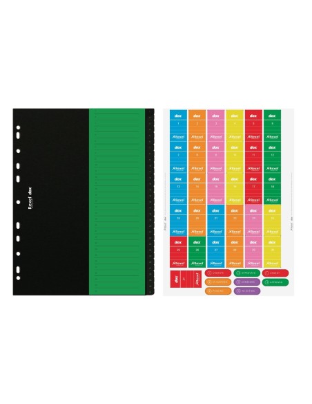 Rexel D266131 intercalare Cartella a soffietto espandibile Nero, Verde