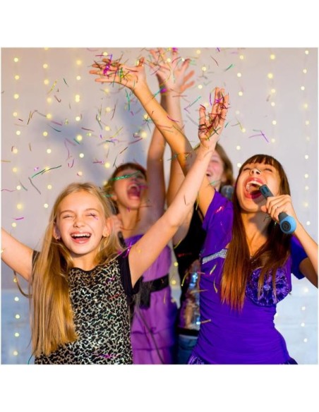 Celly FESTIVALLB sistema di karaoke Portatile Wireless