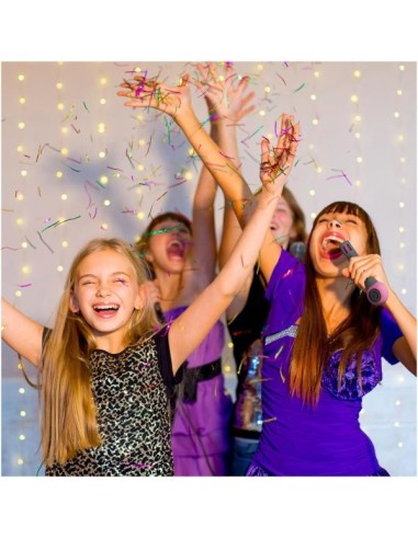 Celly FESTIVALPK microfono Nero, Rosa Microfono per karaoke