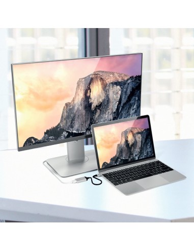 Celly PROUSBCHDMIDS adattatore grafico USB Argento