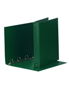 Esselte Meeting raccoglitore ad anelli A4 Verde