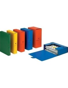 Esselte Cartelle a scatola Eurobox raccoglitore Verde
