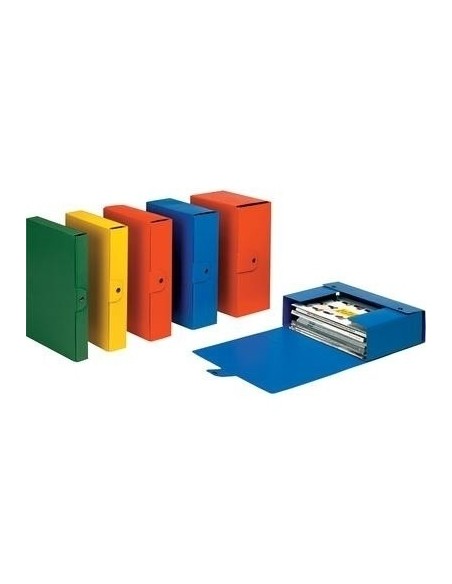 Esselte Cartelle a scatola Eurobox raccoglitore Verde