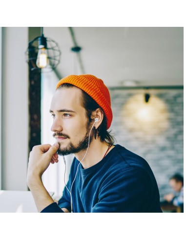 Celly UP1000 Auricolare Cablato In-ear Musica e Chiamate Argento