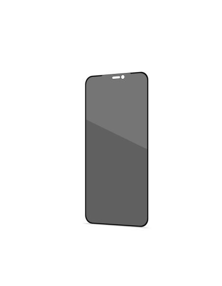 Celly Privacy Full Glass Pellicola proteggischermo trasparente Apple 1 pz