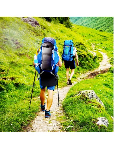 Celly SOLARMINIUSBBK Caricabatterie per dispositivi mobili Universale Nero Solare Esterno