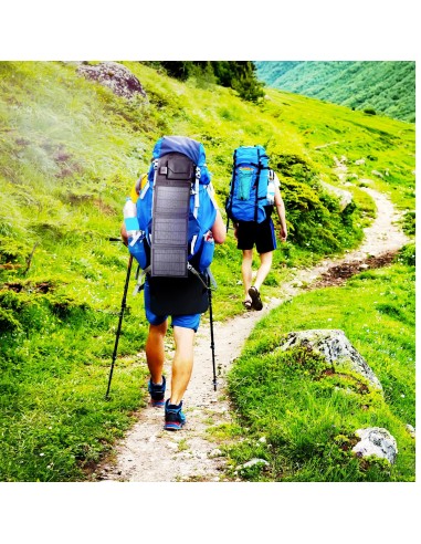 Celly SOLARMAX2USBBK Caricabatterie per dispositivi mobili Universale Nero Solare Esterno