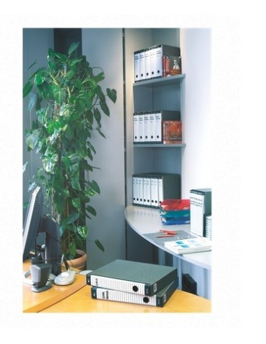 Esselte 390712060 raccoglitore ad anelli Grigio, Bianco