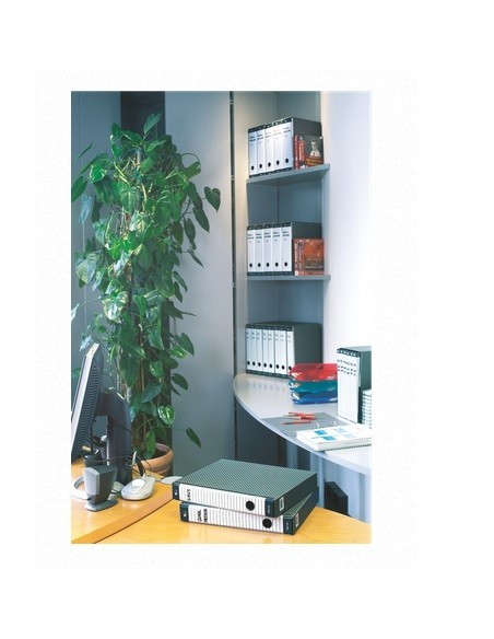Esselte 390712060 raccoglitore ad anelli Grigio, Bianco