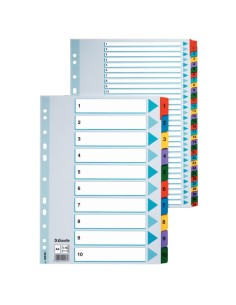 Esselte Carton Index divisore 1 pz
