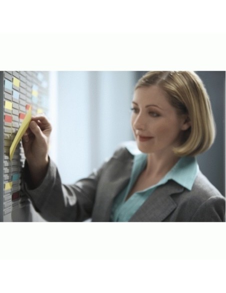 Nobo Professional Planner