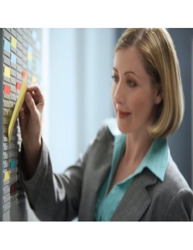 Nobo Professional Planner