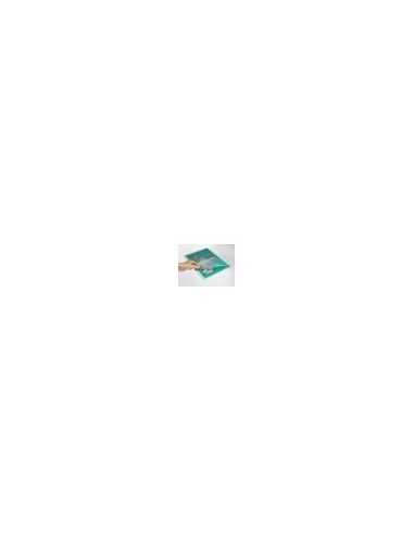 GBC Pouch per plastificazione Organise 2x125mic lucide A4+ (100)