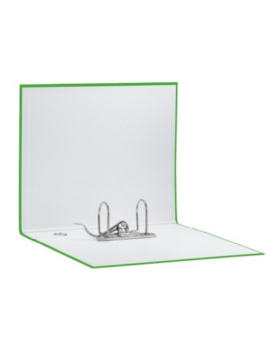 Esselte EUROFILE raccoglitore ad anelli Verde