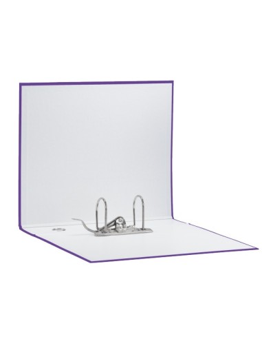 Esselte EUROFILE raccoglitore ad anelli Viola