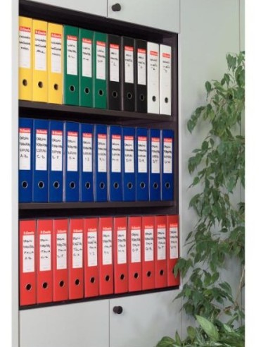 Esselte EUROFILE G55 raccoglitore ad anelli A4 Blu