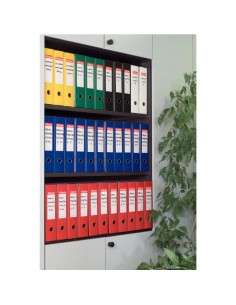 Esselte EUROFILE raccoglitore ad anelli A4 Giallo 2