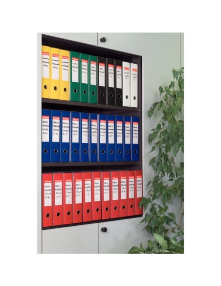 Esselte EUROFILE raccoglitore ad anelli A4 Giallo
